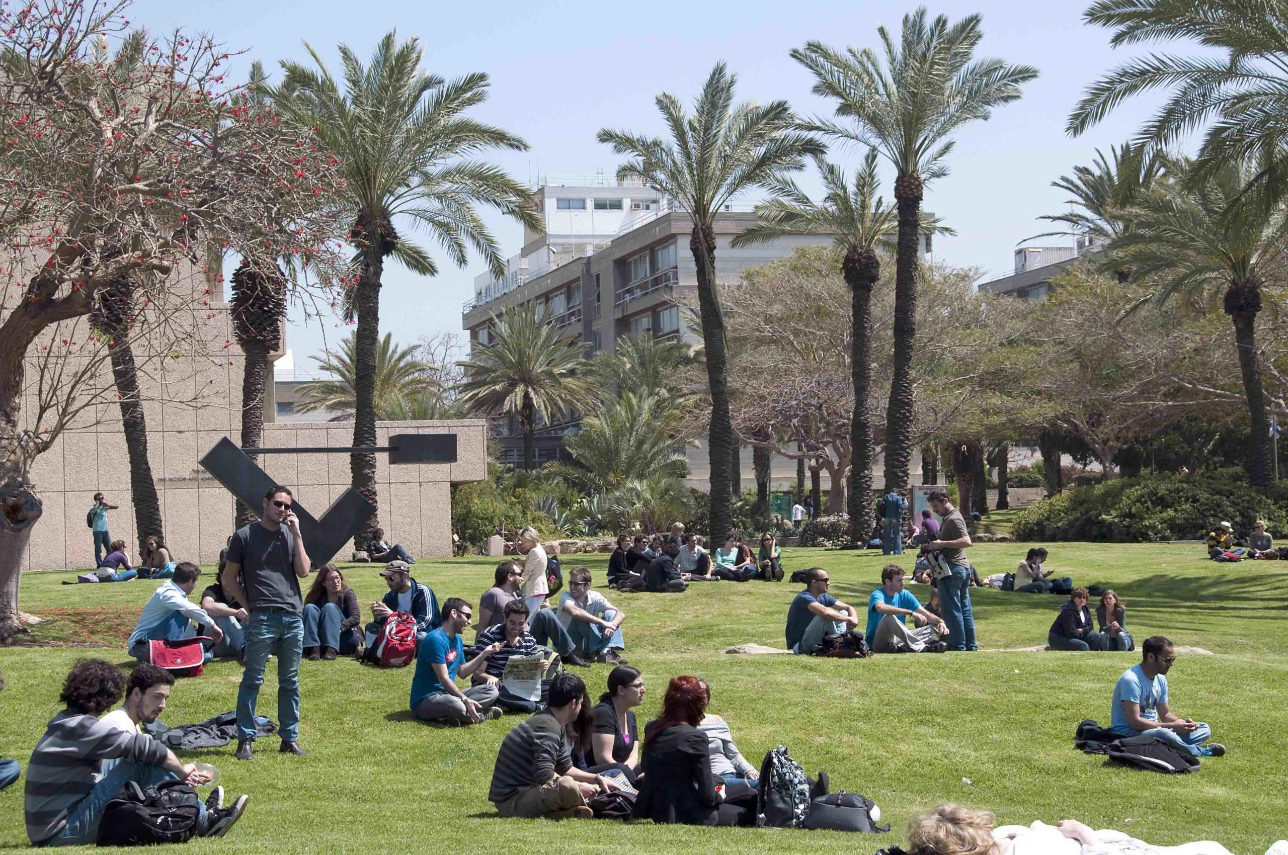 TAU students on lawn – wide shot