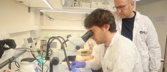 Dr. Gilad Levy (seated) & Prof. Boaz Barak.