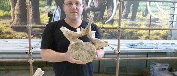 Prof. Ran Barkai holds a segment of an ancient elephant at the La Polledrara site in Italy.